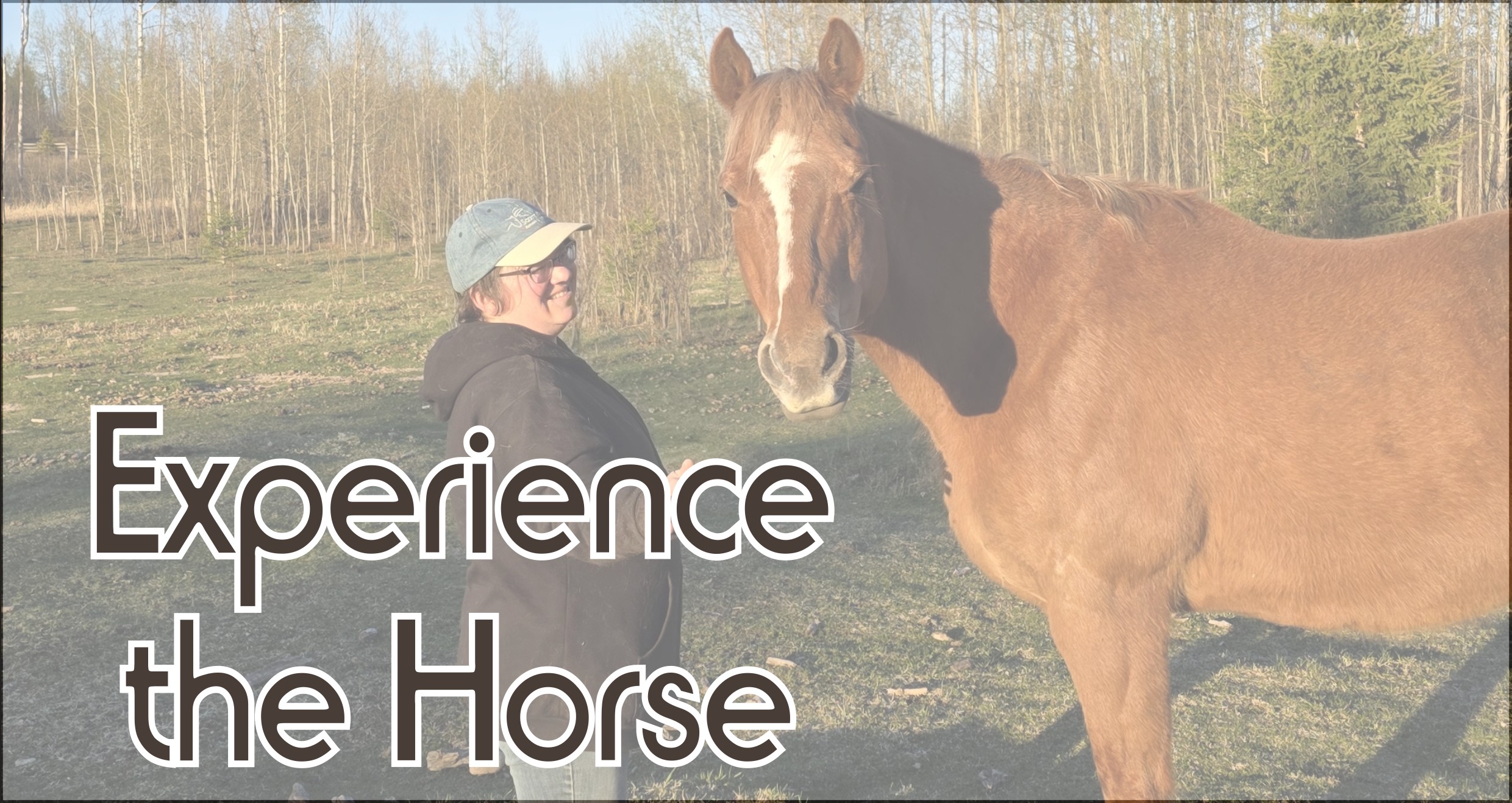 experiencehorse