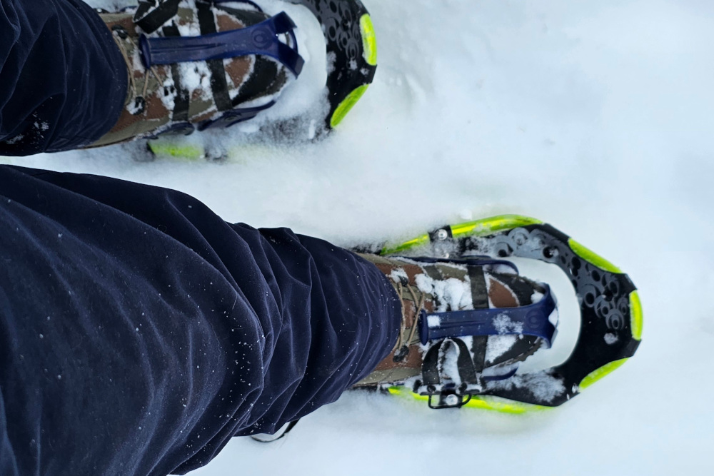 snowshoes